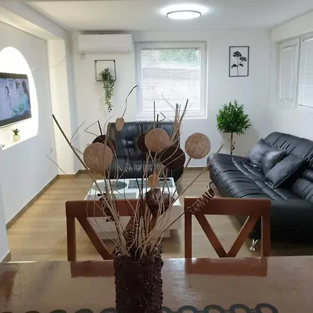 Djukic 1 Apartment Soko Banja