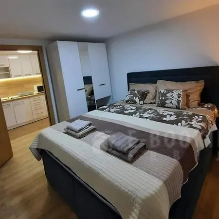 Djukic 1 Apartment