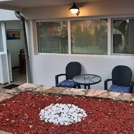 Djukic 1 Apartment