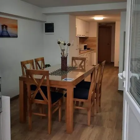 Djukic 1 Apartment Soko Banja